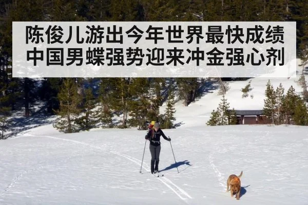 陈俊儿游出今年世界最快成绩 中国男蝶强势迎来冲金强心剂
