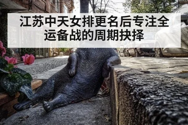 江苏中天女排更名后专注全运备战的周期抉择
